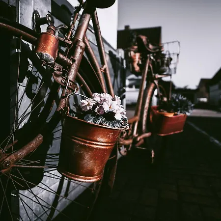 Gaestehaus J. Baumann Rust