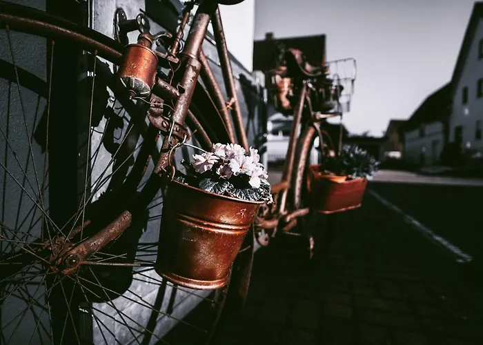 Gaestehaus J. Baumann Rust